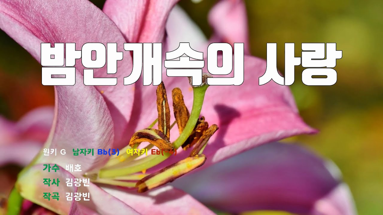 [은성 반주기] 밤안개속의사랑 - 배호