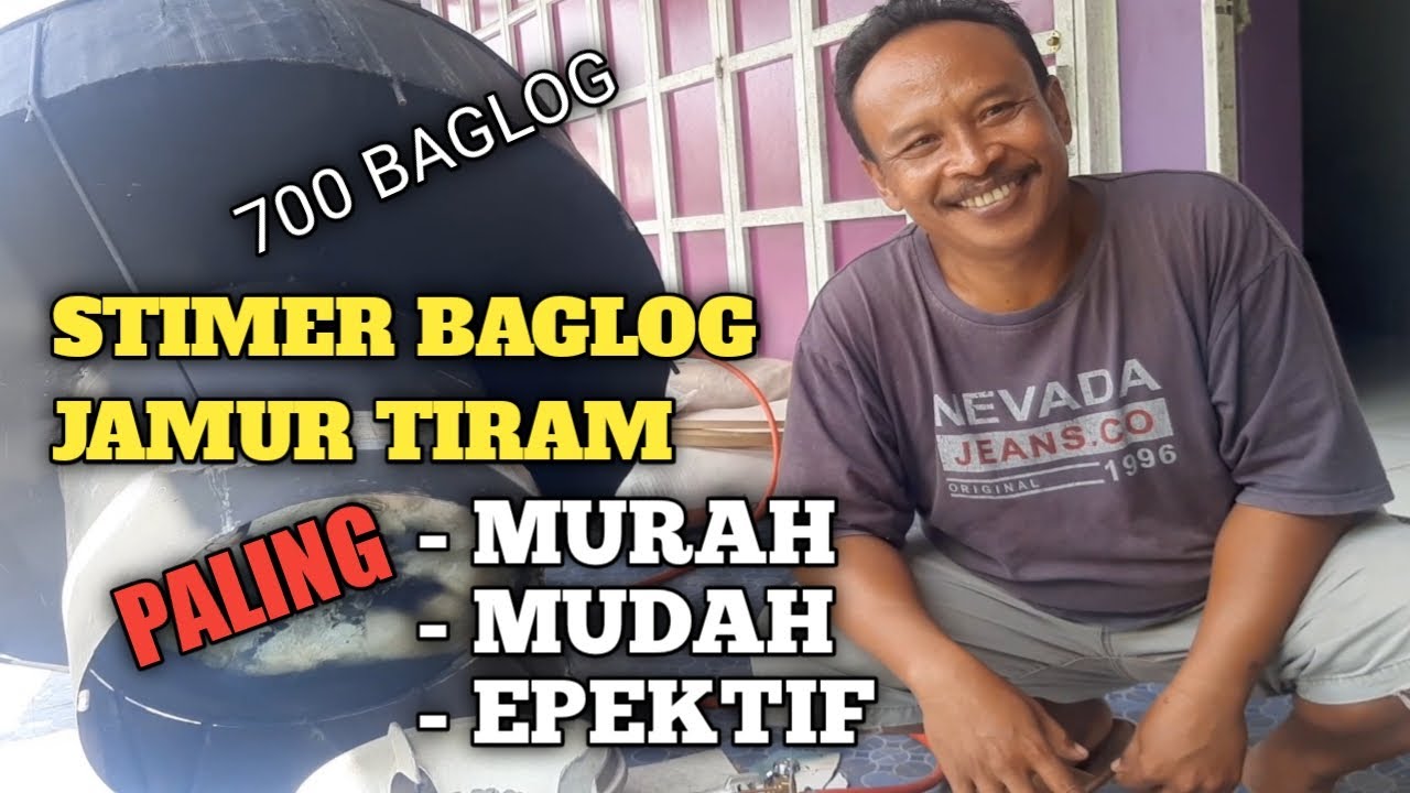 SETIMER MANUAL BAGLOG JAMUR TIRAM PALING MURAH MUDAH DAN EPEKTIF