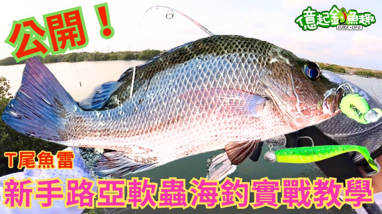 【億起釣魚趣】台南釣點｜台南路亞｜鹿耳門釣魚｜路亞釣點｜路亞根魚｜路亞軟餌｜路亞軟蟲｜軟蟲釣組｜軟蟲勾法｜路亞教學 ｜新手入門 #fishing #lurefishing #台南  #鹿耳門 #路亞