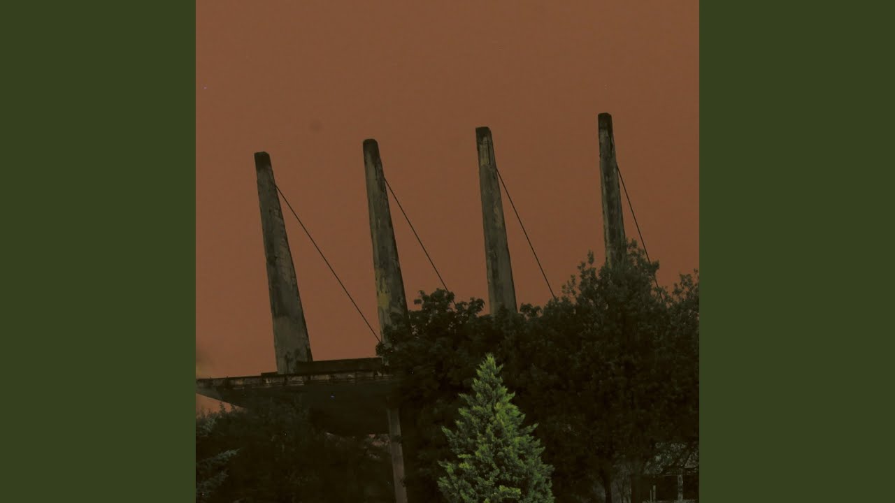 Ptaki Idą