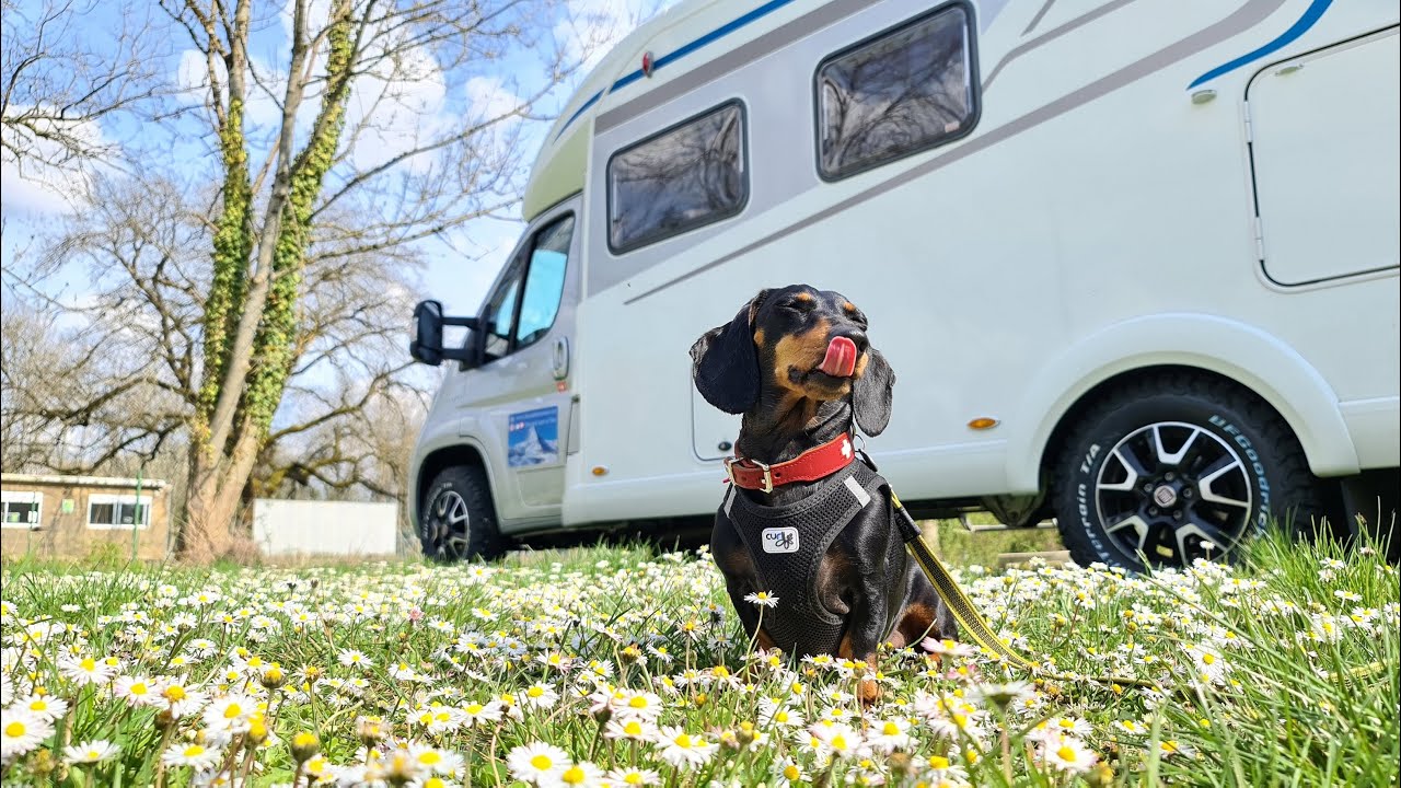 A CULINARY TRIP TO FRANCE + NEW ALL TERRAIN WHEELS | Our Camper Trips