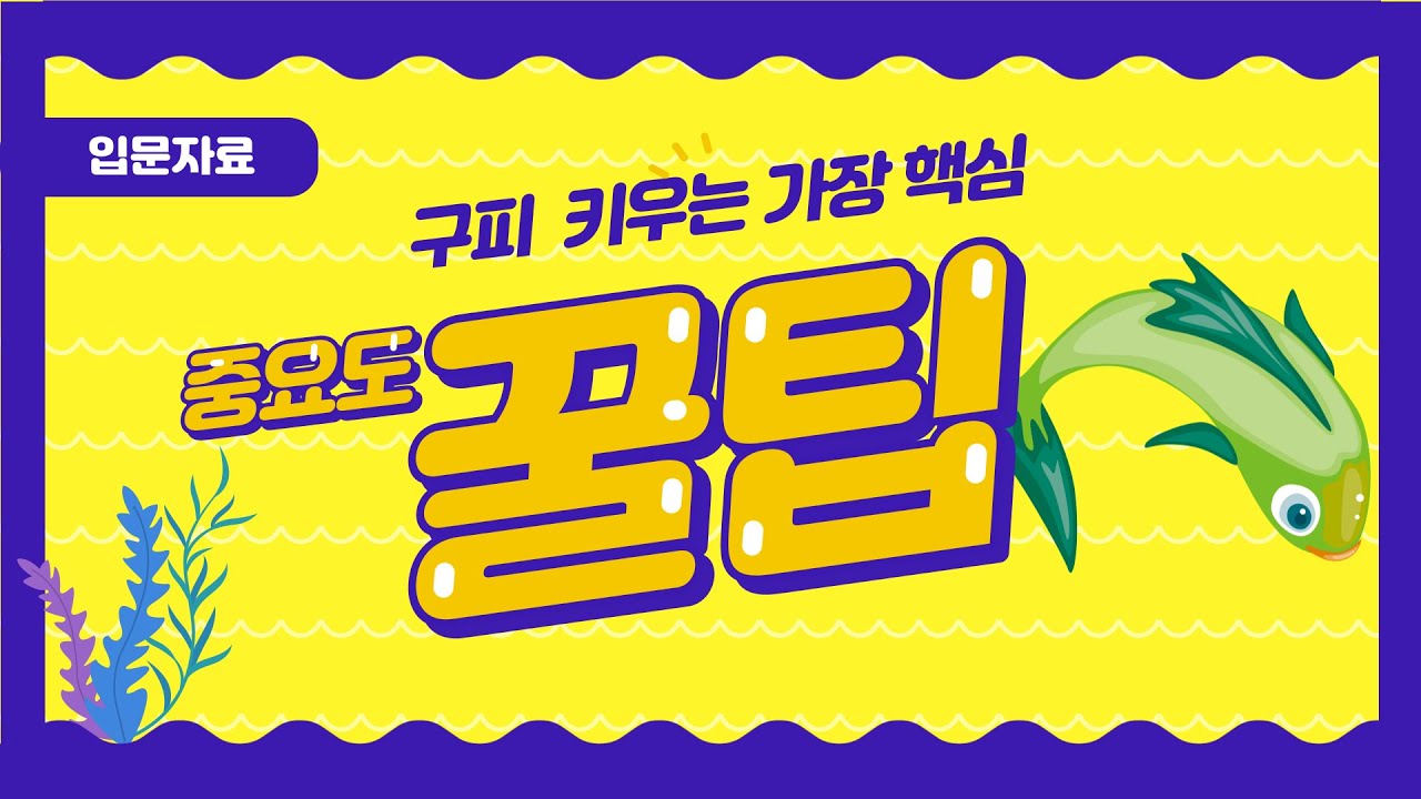 구피 키우기 가장 중요한것은?