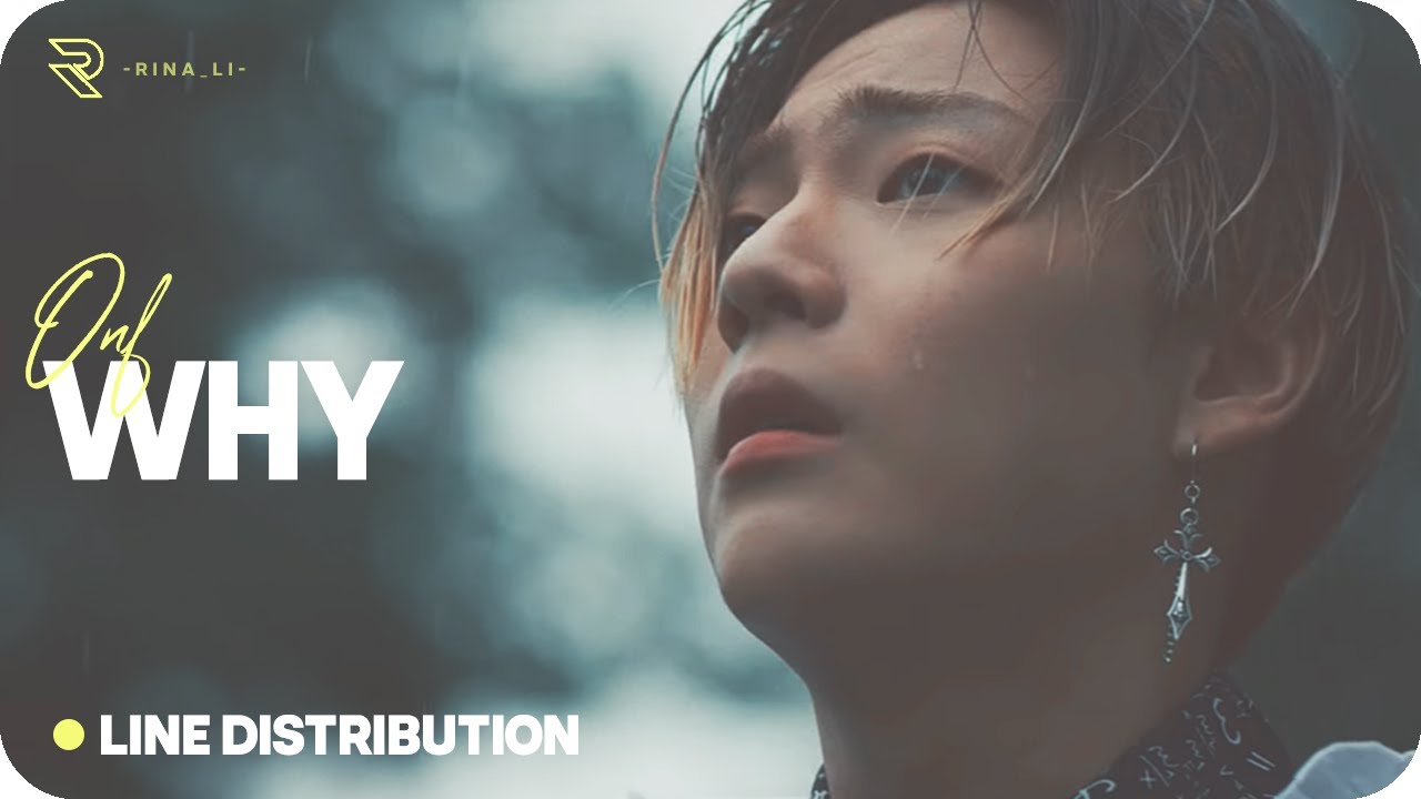 ONF - Why (Line Distribution)