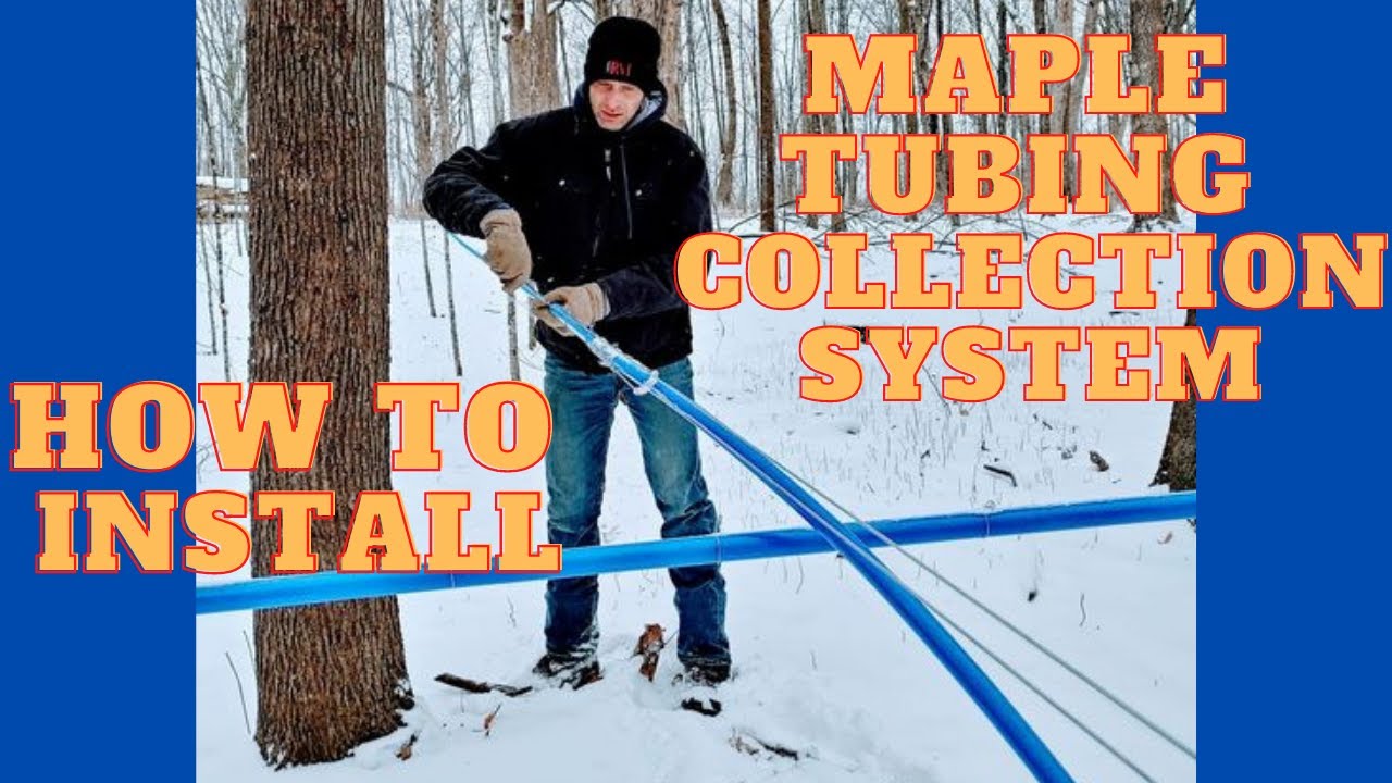 How To Install a Maple Tubing Collection System! (Updated)