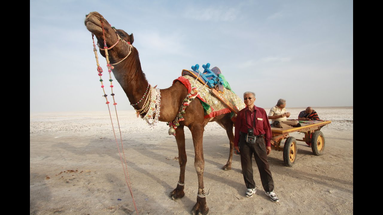 Gujarat Trip Part I - Bhachau, Bhuj, Dasada, Kala Dungar
