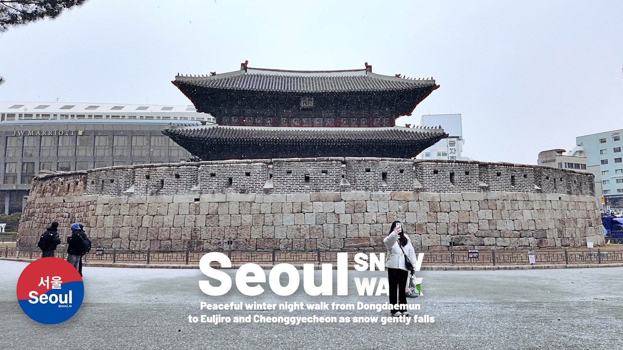 Snowfall in Dongdaemun, DDP | Walking in Seoul City in the Winter Snow, 4K