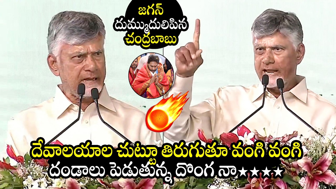 CM Chandrababu FIRES On YS Jagan | AP News | TDP | YCP | BTV Daily