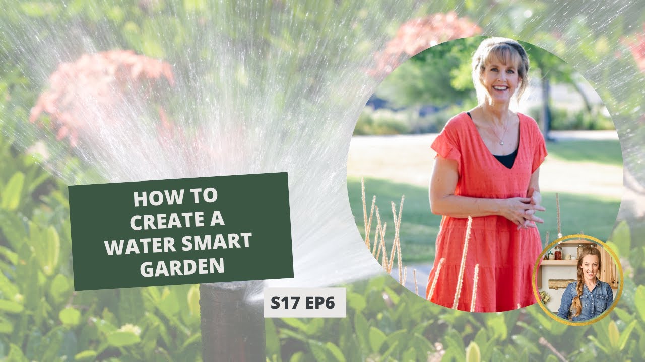 S17: E6: How to Create a Water Smart Garden