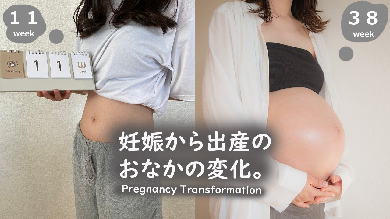 妊娠から出産までのお腹の変化【Pregnancy transformation】｜体重の変化｜タイムラプス