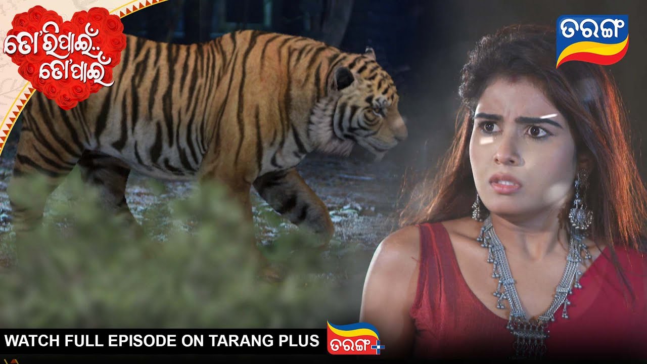 Tori Pain To Pain | Best Scene |  Ep - 805 | 28th Nov 2025 | Odia Serial | Tarang Tv | Tarang Plus