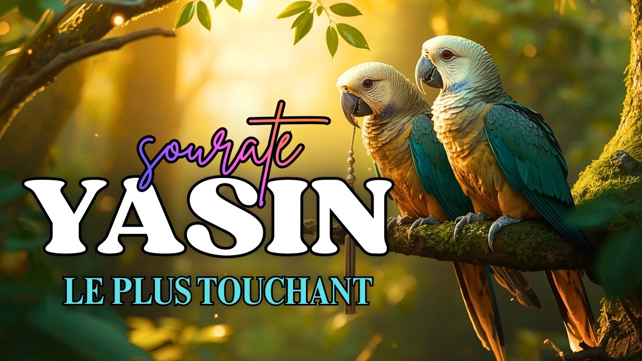 Sourate Yasin | le saint Ramadhan, le mois du pardon, Qu'Allah nous accorde Sa bénédiction