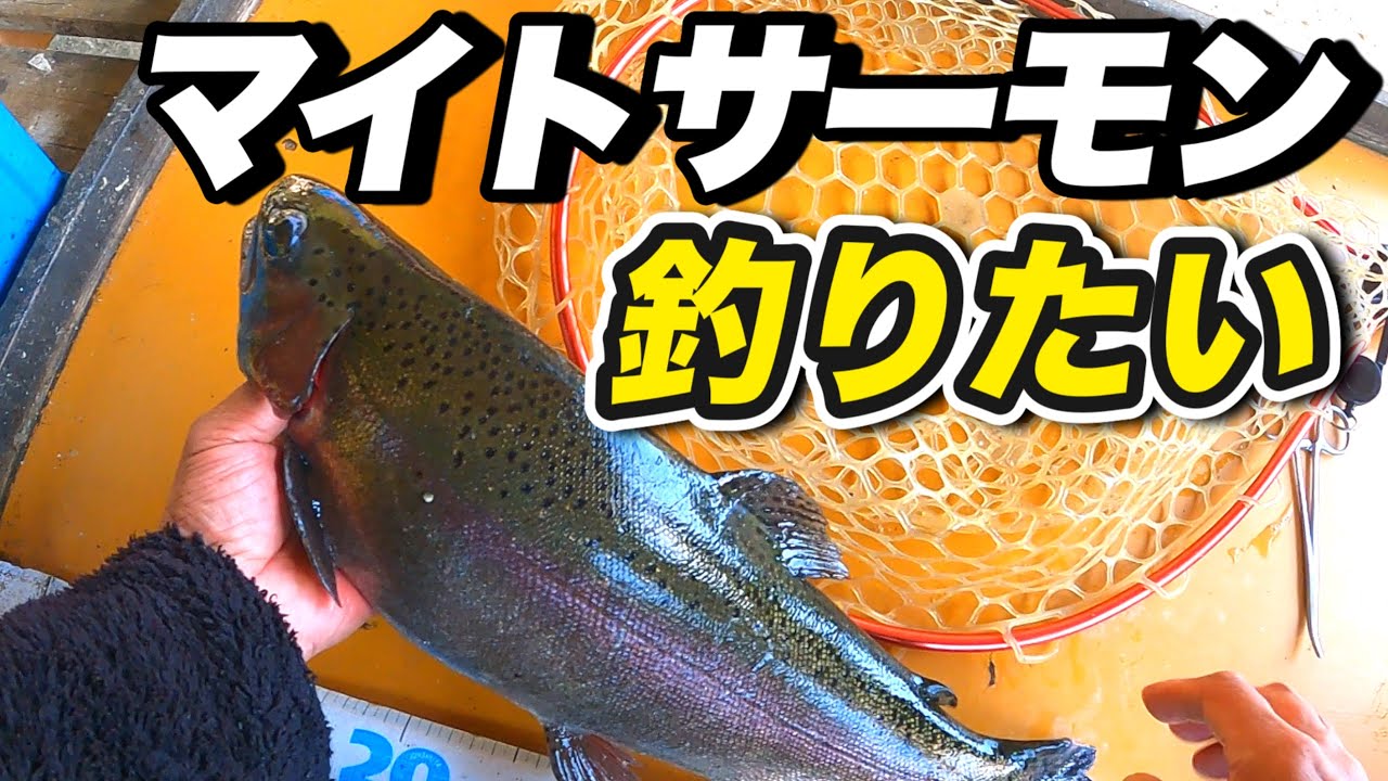 【黒保根渓流フィッシング】ここでしか釣れないこだわりのマイトサーモンが釣りたい