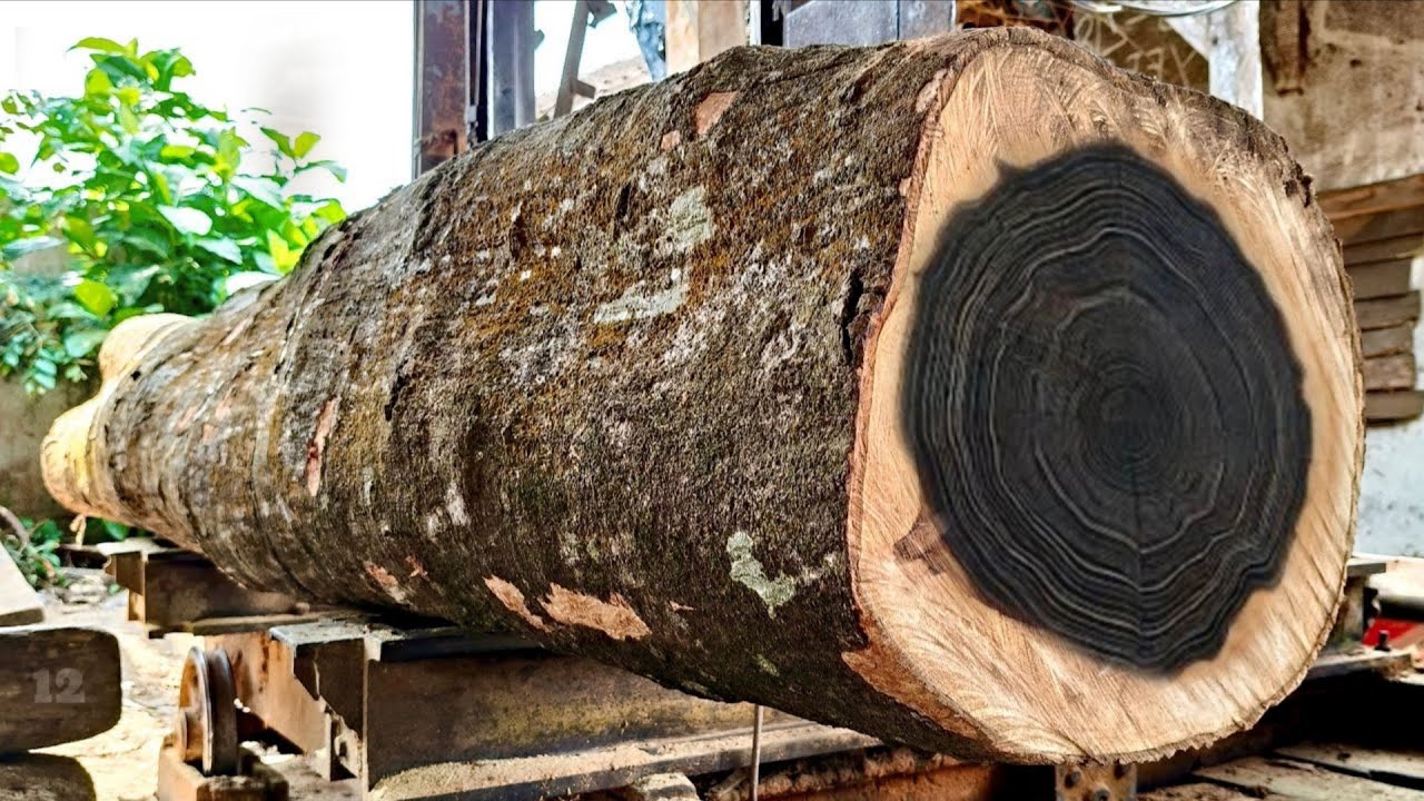 Revealing the beauty of joar wood grain at the sawmill. 