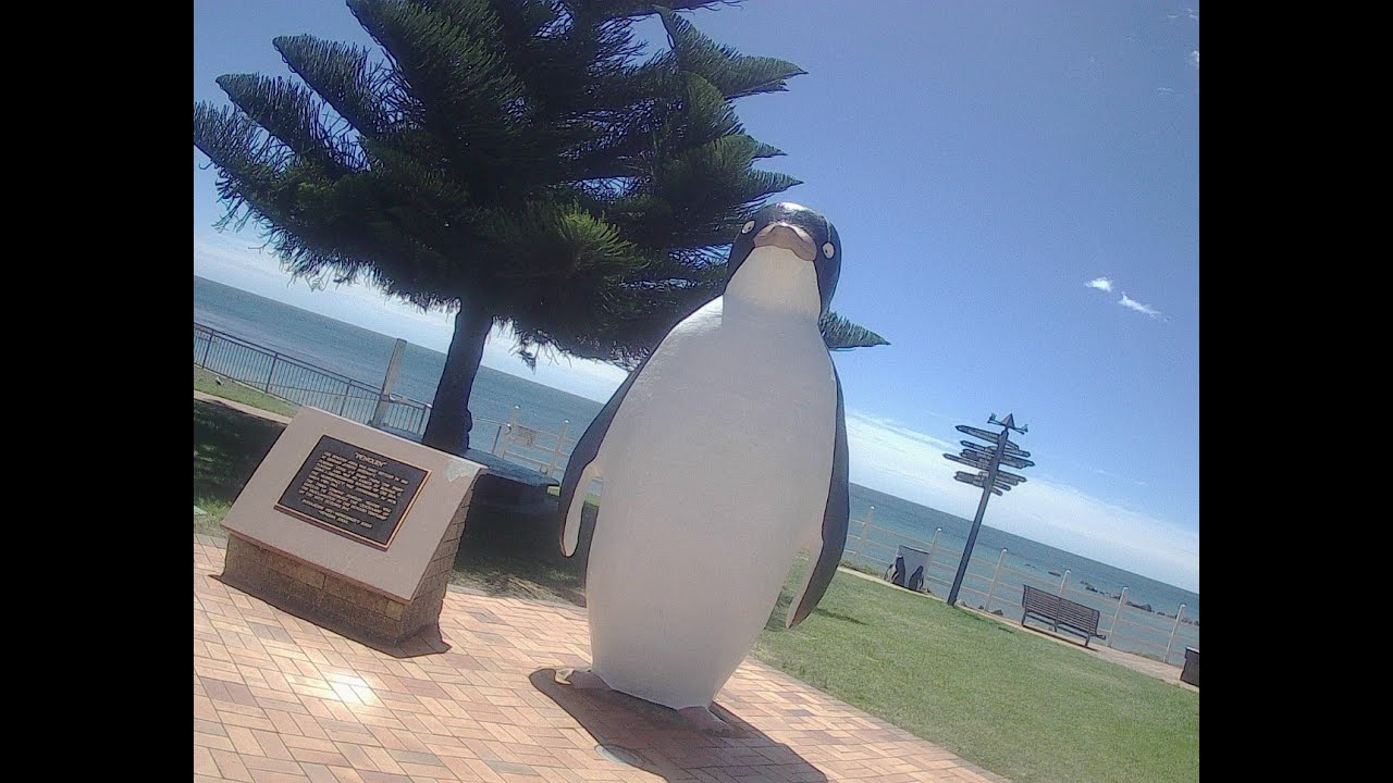 Why I live where I live. PENGUIN; Tasmania