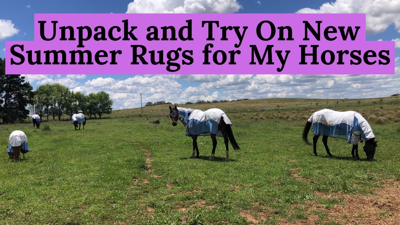 Unpack and Try On New Summer Rugs on My Horses | Newmarket Saddlery Summer Rug Haul |Equestrian Vlog