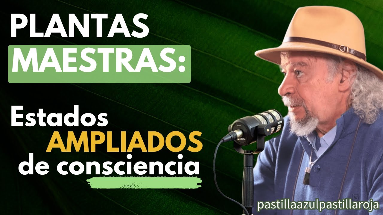 las plantas son inteligentes y así se COMUNICAN😲 experto en plantas sagradas (Juan Plantas)