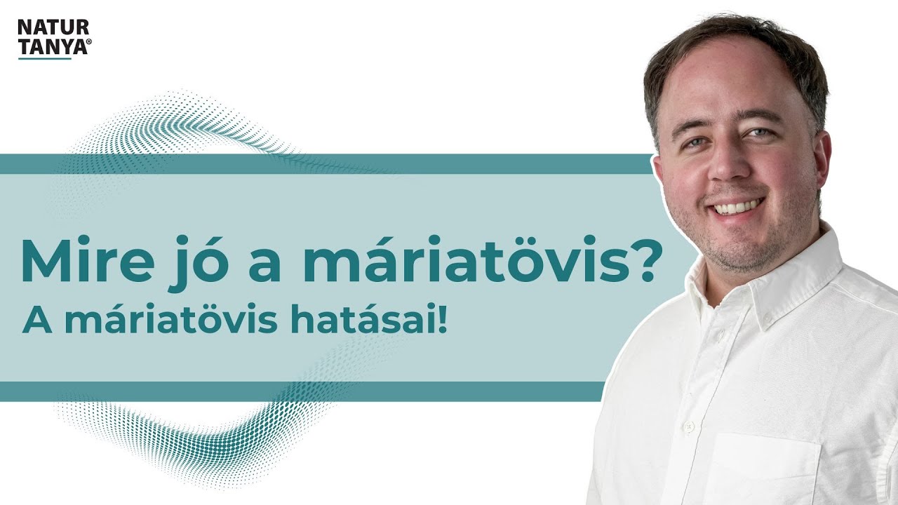 Mire jó a máriatövis? A máriatövis hatásai!