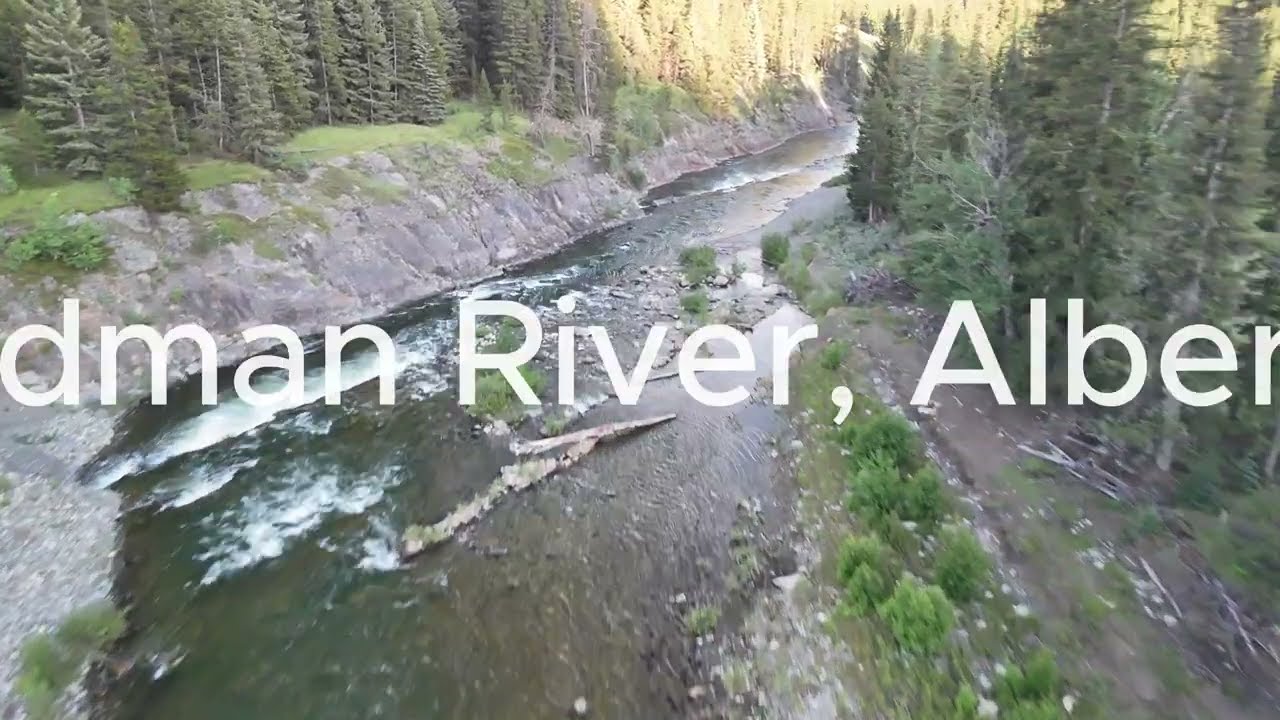 Oldman River, Alberta fly fishing moment