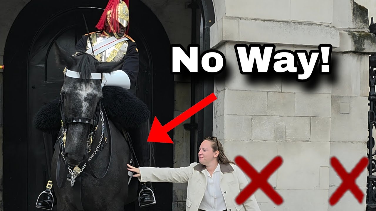  BIG MISTAKE!😡 YOU WONT BELIEVE WHAT SHE DID!