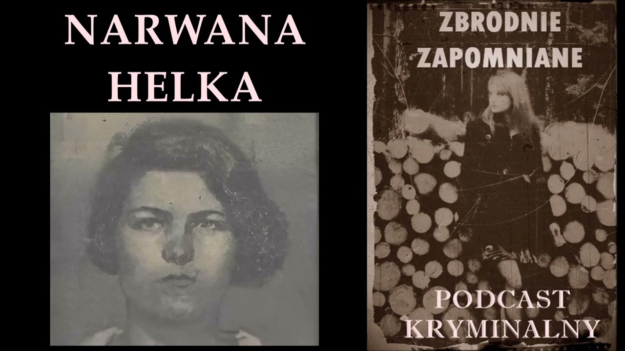 NARWANA HELKA, CZYLI JAK HELENA PSZCZOŁA HERSZTEM BANDY ZOSTAŁA