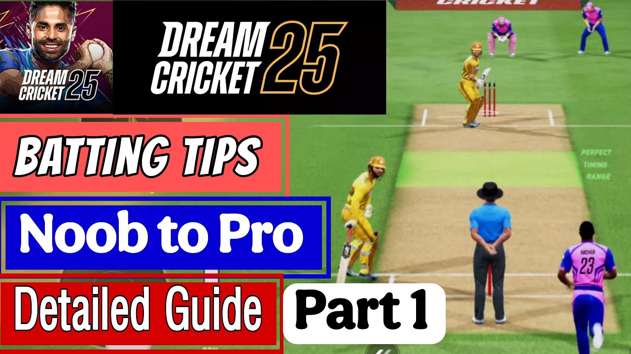 Dream Cricket 25 Batting tips (Part 1), Noob to Pro guide