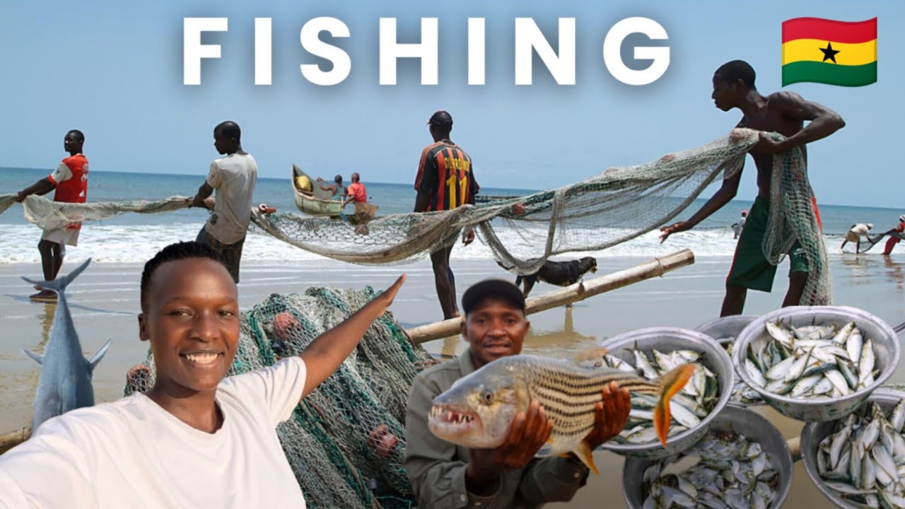 Fishing Video | How Tonnes of Fish Are Caught From the Ocean Ghana 🇬🇭 Traditional Fishing #fishing 