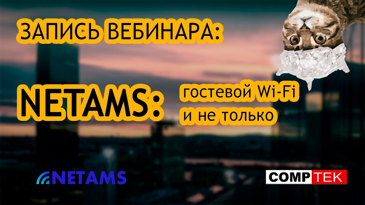 Презентация продуктов компании NETAMS