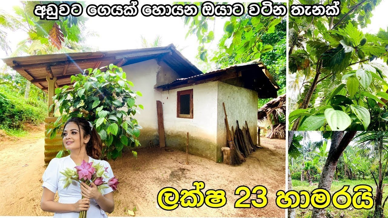 ලක්ෂ 23 හමාරක මුදලට කුඩා නිවසක් සහ ඉඩමක් විකිණීමට | house for sale #acland