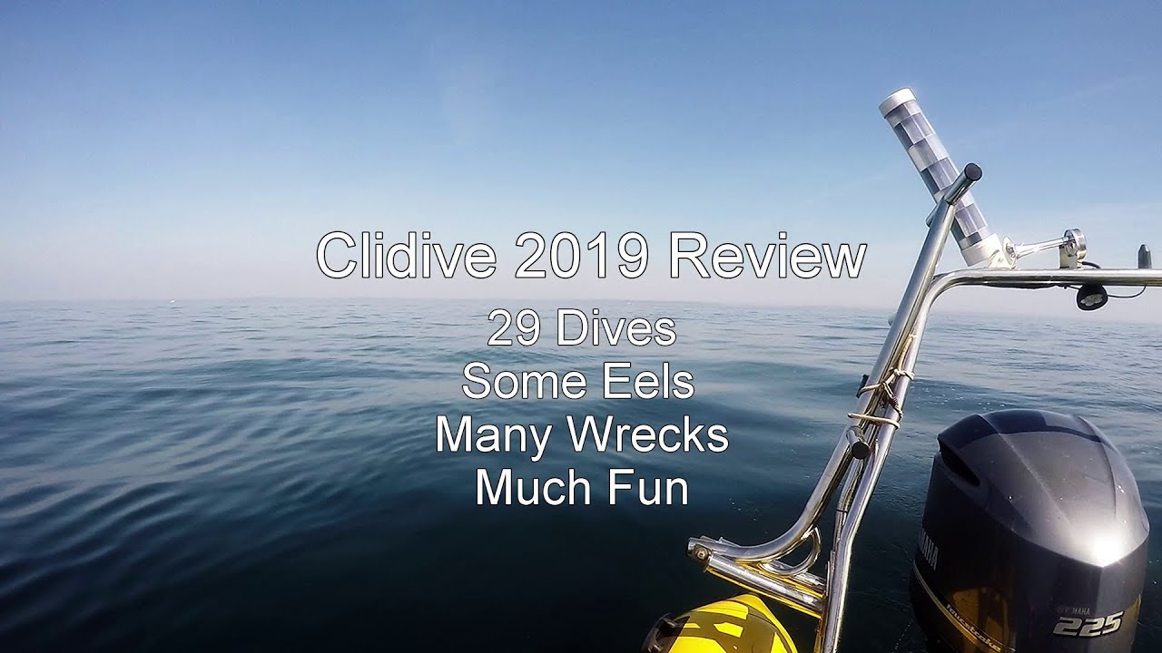 Clidive 2019 Year in Review