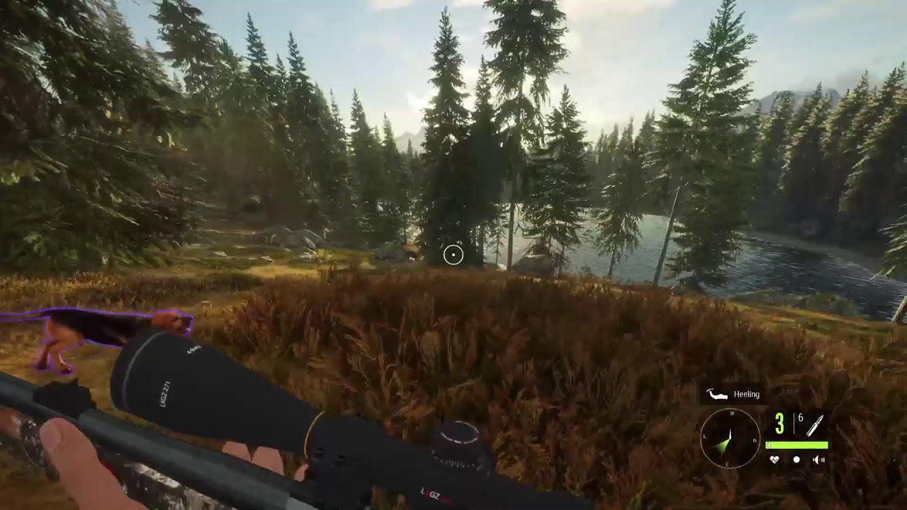 Thehunter call of the wild live 🎮