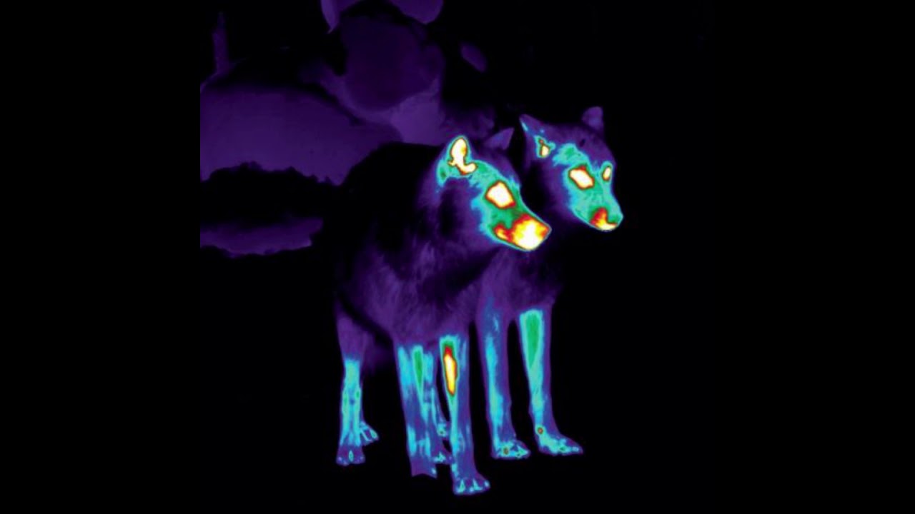 [FREE] Lyonzon X Zeu Type Beat 