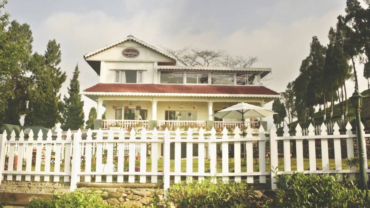 Sourenee Experience : Tea tourism in Darjeeling