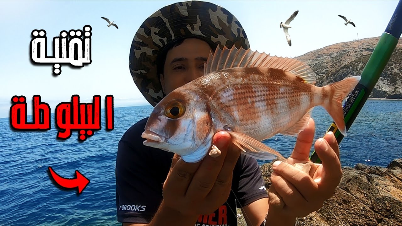 و أخيرا لقيت جزيرة مهجورة عامرا أسماك 🏝️ المستحيل ترجع بدون أسماك 🐟 الصيد والطبخ 🍗🔥