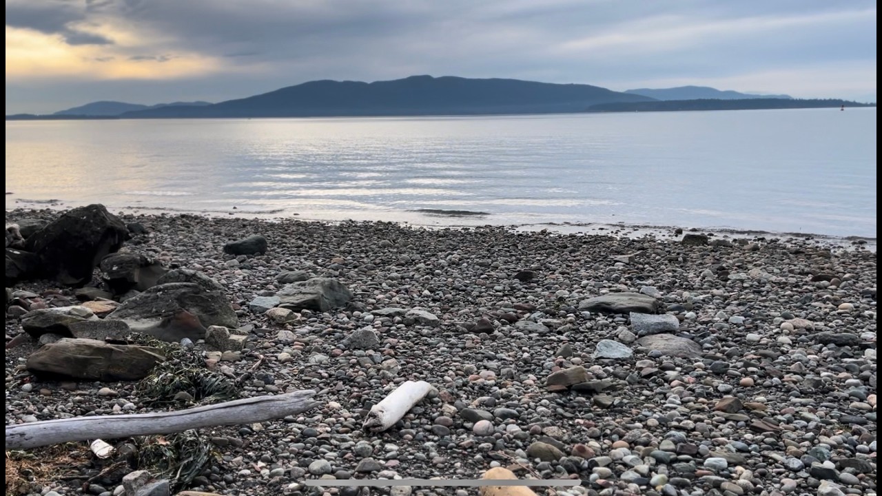 Milling Driftwood To Make A Frame To Stretch Canvas For a Painting