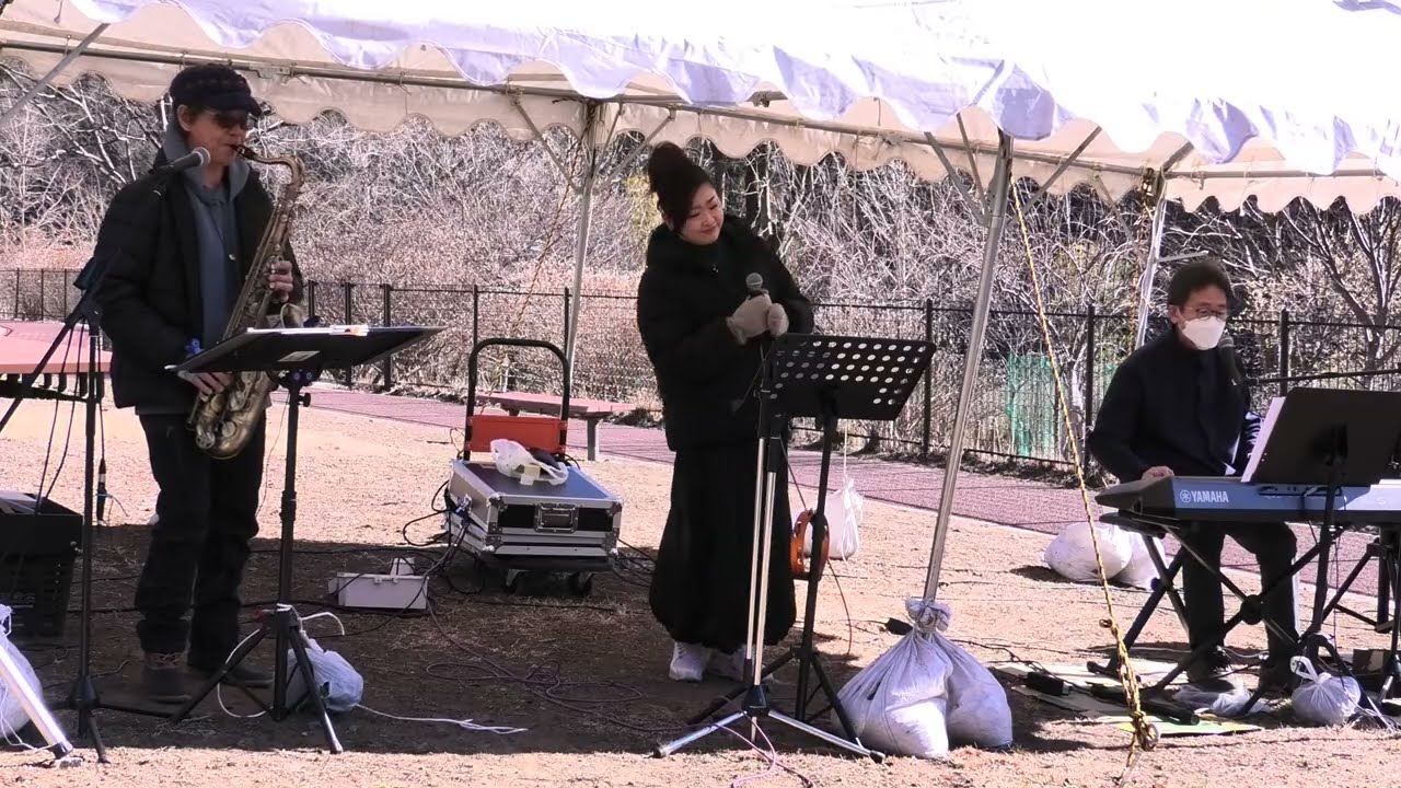 【4K高画質】第1部🎷懐メロ歌謡バンド＊ノスタルジクス🎤ロウバイパークコンサート2026.2.1🎹①17才②恋する夏の日③瀬戸の花嫁④北国行きで④夜明けの歌⑤学園広場⑥花嫁⑦恋の奴隷⑧夜明けの停車場