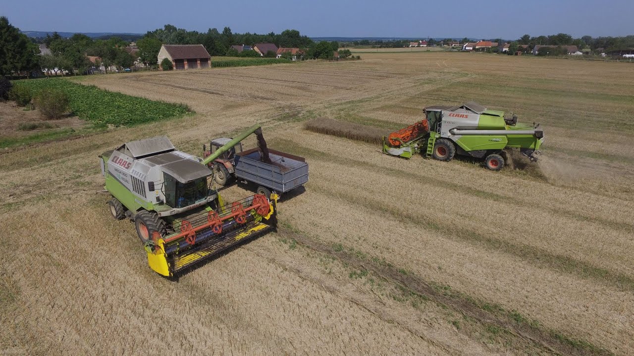 Claas Tucano 440 & Claas Mega 360 - Repce aratás 2021