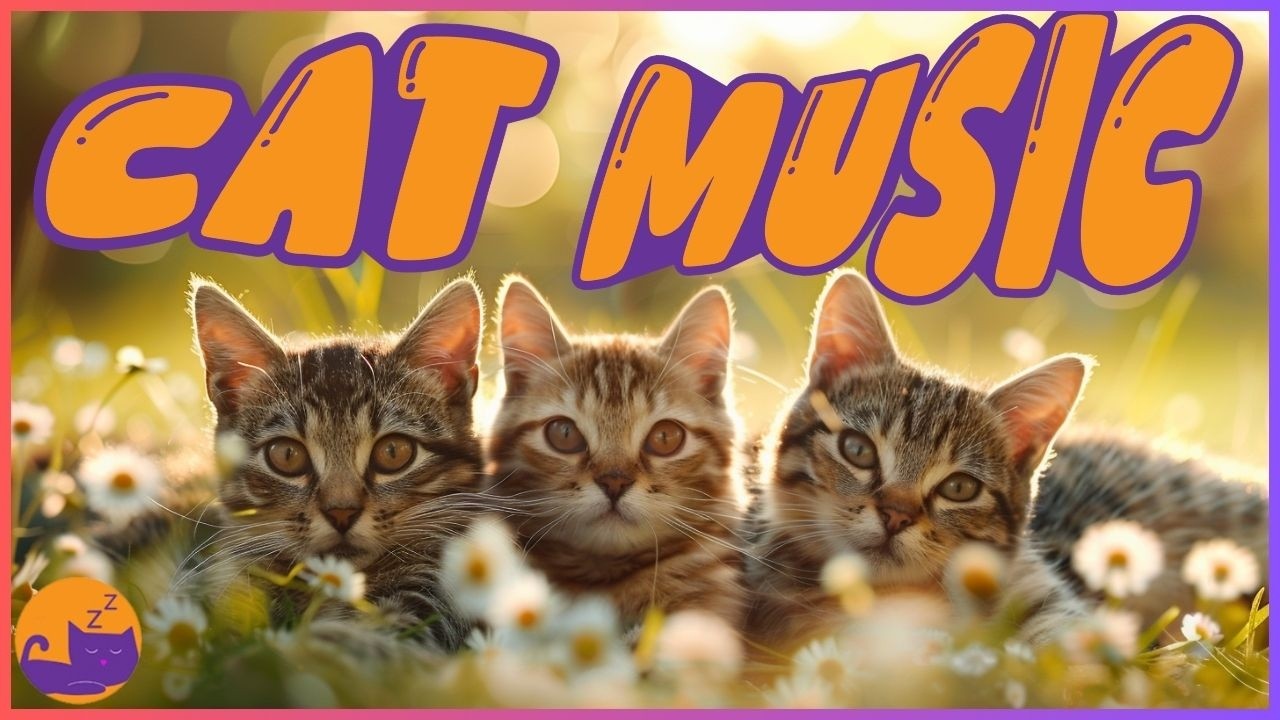 Your Cat Needs This 🐱💤 9 Hours of Calm Sleep Music 🎶