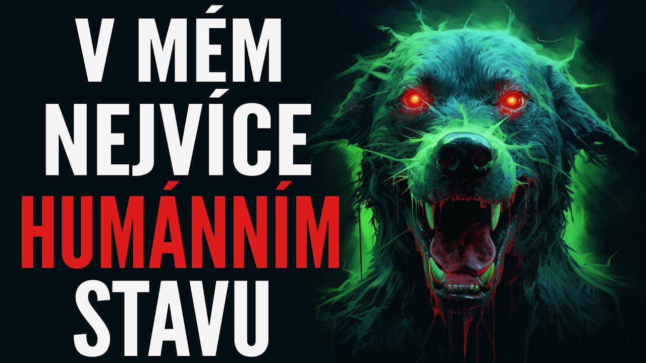 V MÉM NEJVÍCE HUMÁNNÍM STAVU | CREEPYPASTA [CZ]
