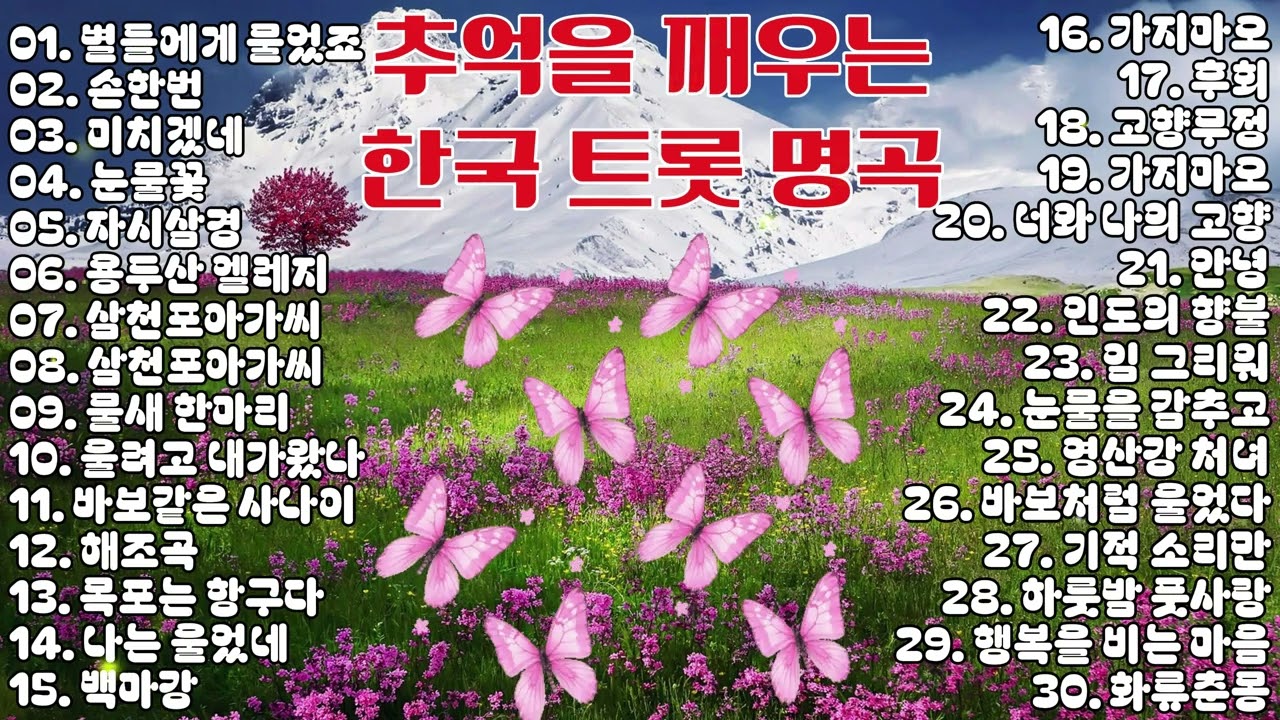 추억을 깨우는 한국 트롯 명곡 모음 │ 시간이 지나도 가슴에 남는 잊히지 않는 사랑의 노래들 💔🎶 (연속재생)
