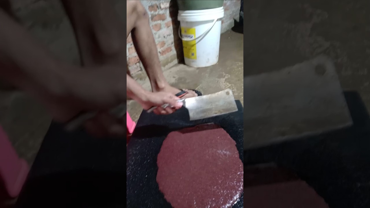 Cincang Cacing Sutra Pakan Larva Ikan 