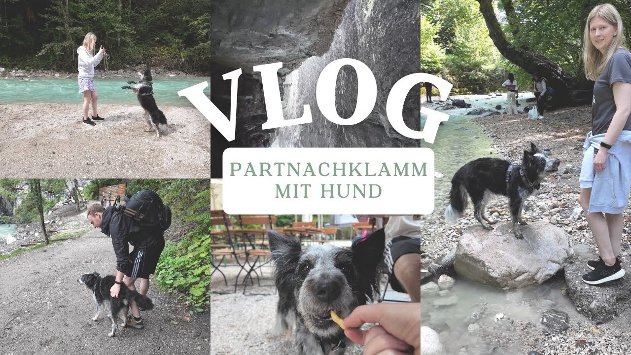 Wanderung in der Partnachklamm – Ein Vlog mit vierbeiniger Begleitung (: