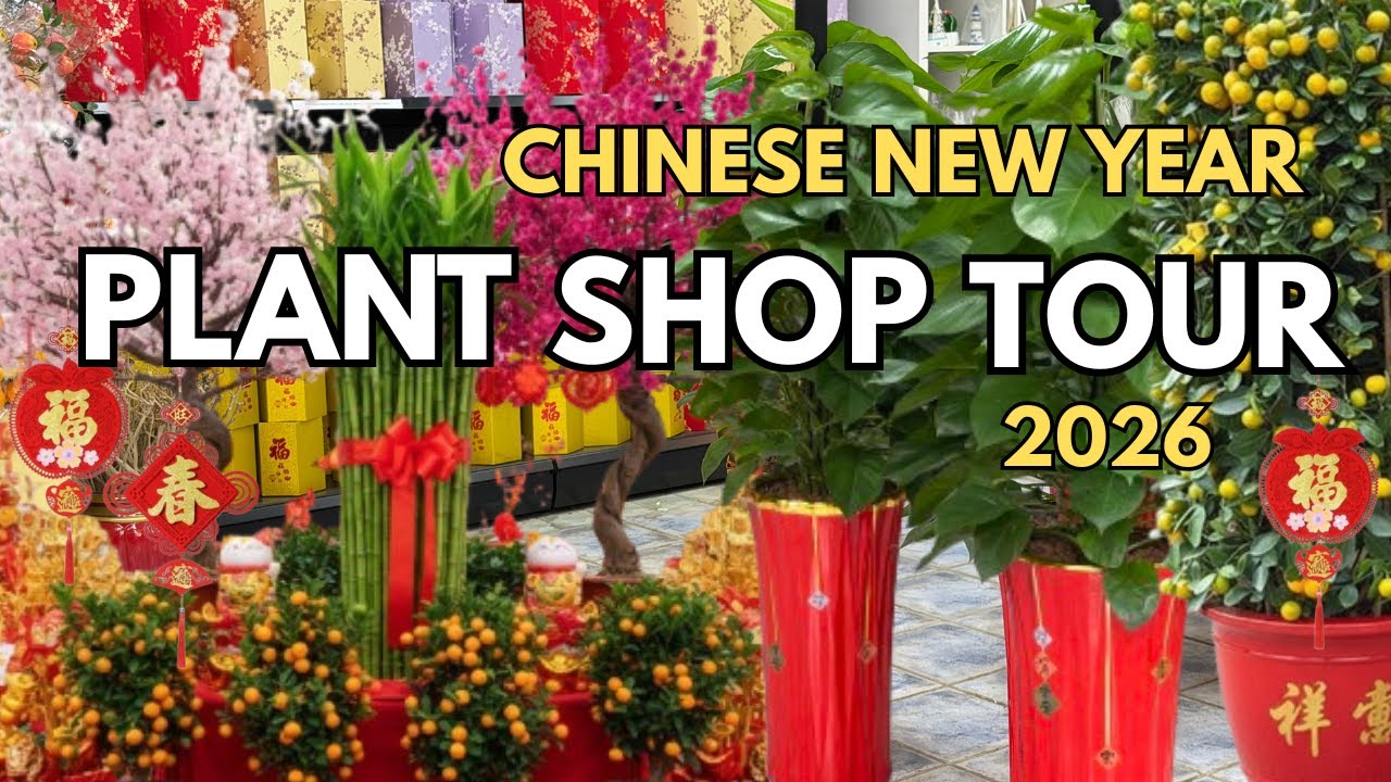 🧧 Chinese New Year Plant Shop Tour | Plants For The Chinese New Year Season