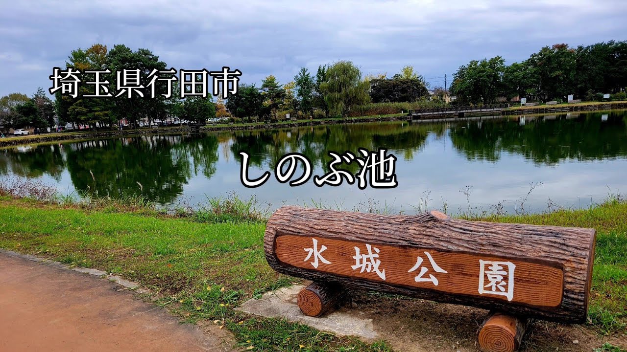 【へら鮒釣り】埼玉県行田市　水城公園しのぶ池に初めて、おじゃまさせていただきました👏
