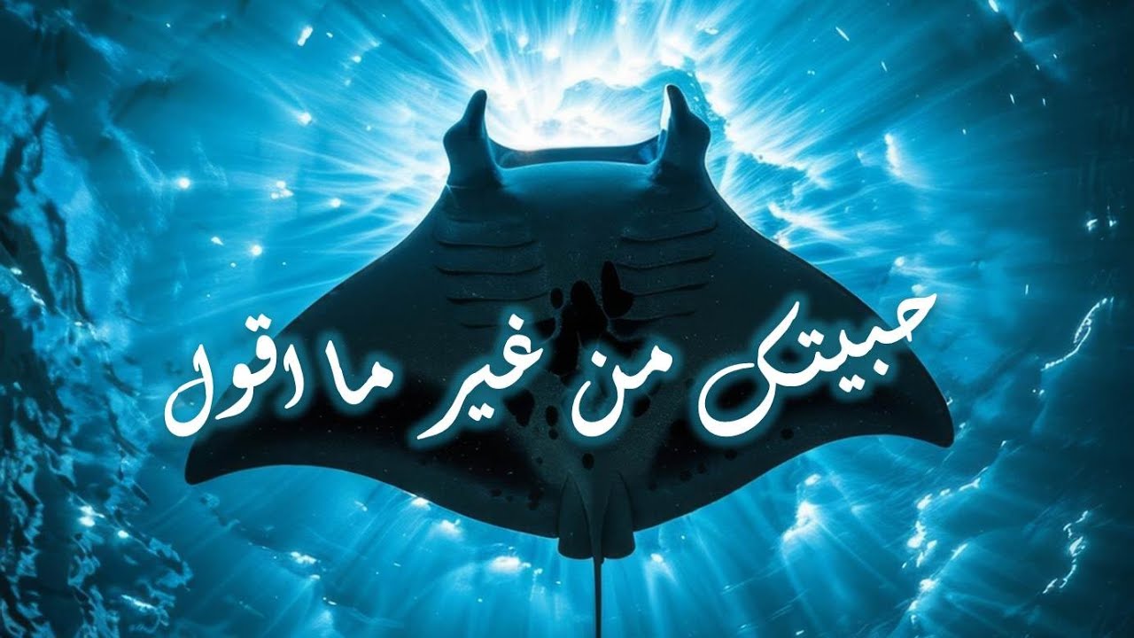 Love in Night - حبيتك من غير ما اقول -Chillout - Original Mix