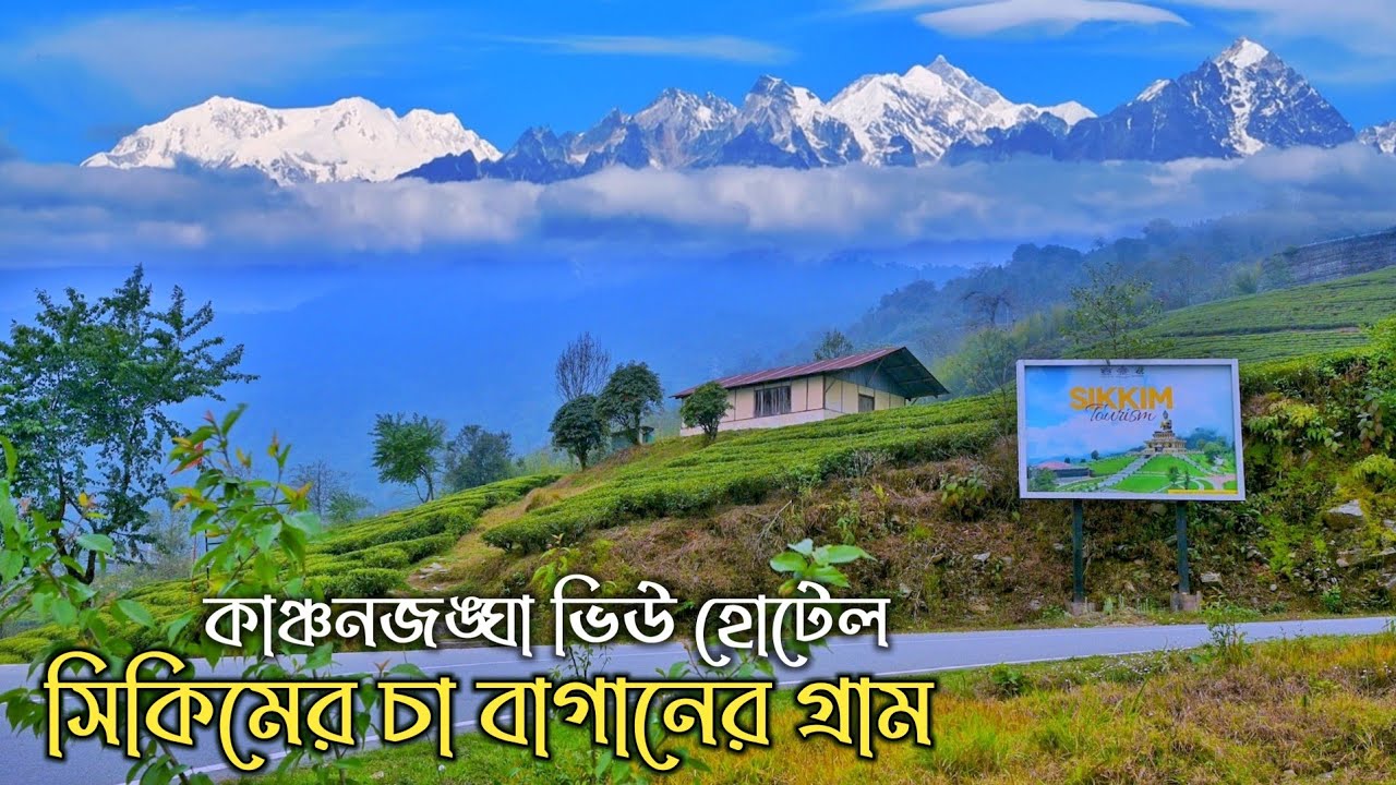 Temi Tea Garden ~ Sikkim's only Tea Estate ↑ Travel Vlog #192 with Santanu Ganguly