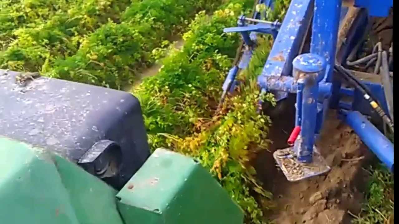 ASA-LIFT T100 Zbór pietruszki 19.11.2013. Parsley Harvesting