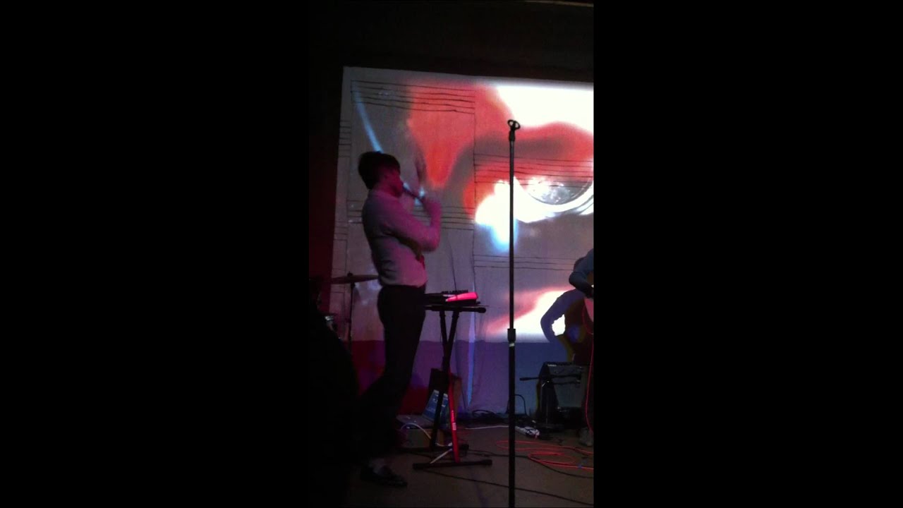 The Privilege - Parenthetical Girls, 5-2-12
