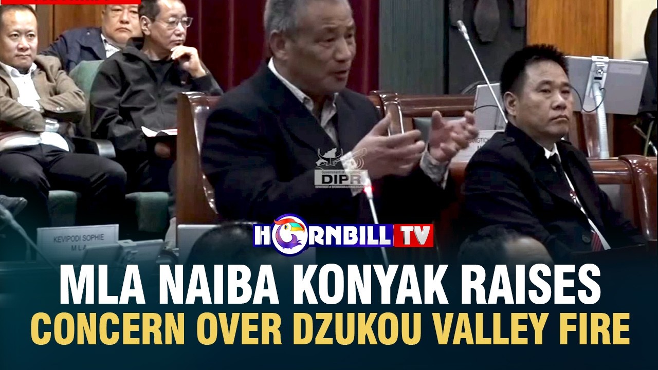 MLA NAIBA KONYAK RAISES CONCERN OVER DZUKOU VALLEY FIRE