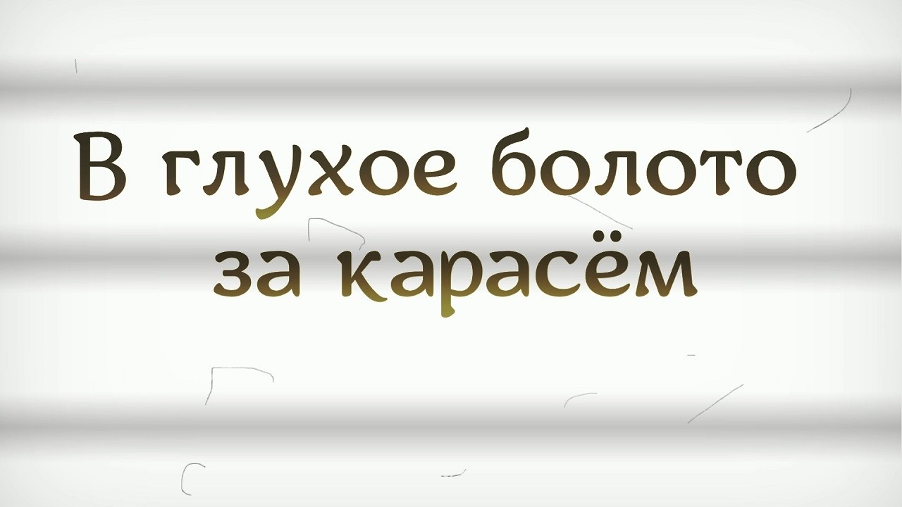 В глухое болото за карасём