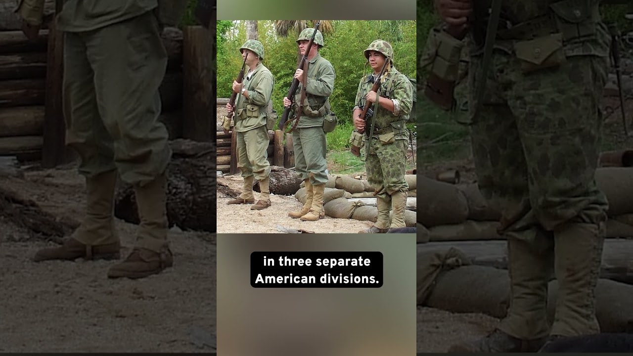 Why No Camouflage Uniforms In Europe?